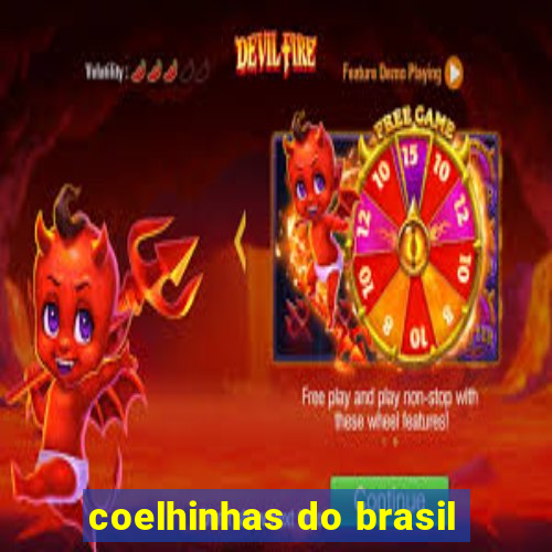 coelhinhas do brasil